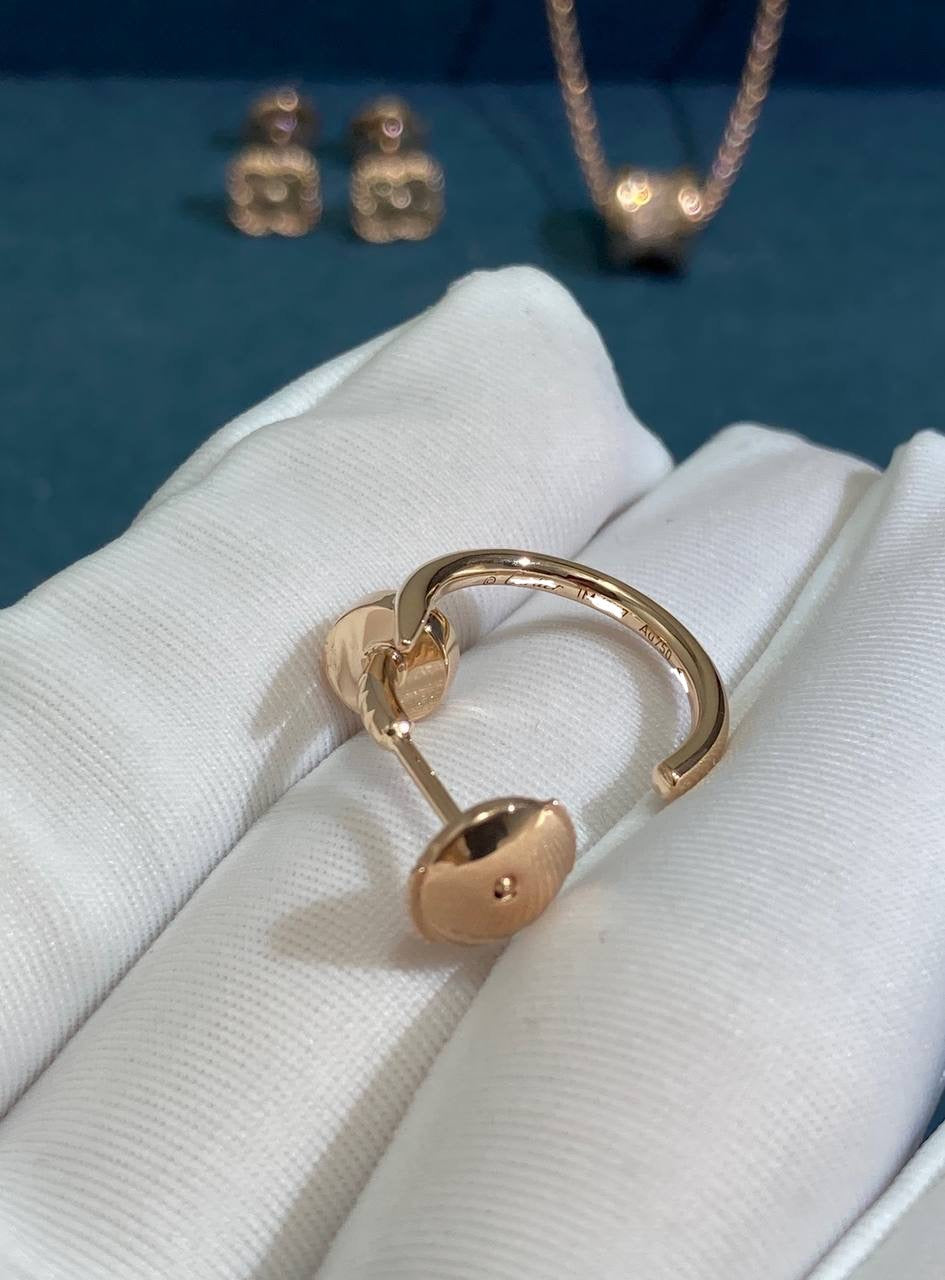 Nail earrings
